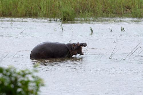 Kruger Dec22 060