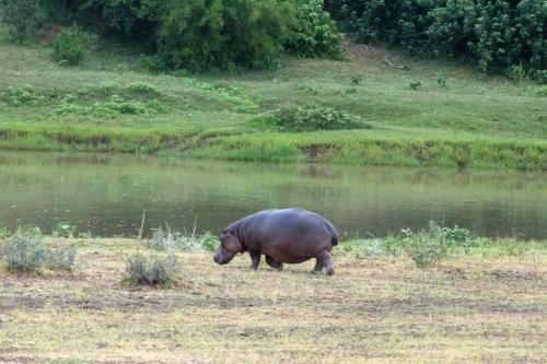 Kruger Dec22 093