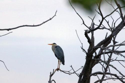 Kruger Dec22 094