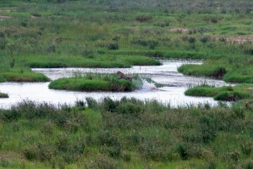 Kruger Dec22 095