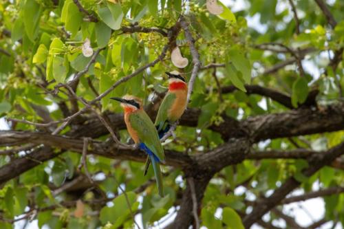 Kruger Dec22 124