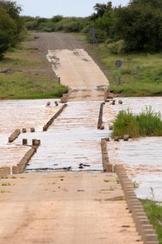 Kruger Dec22 135