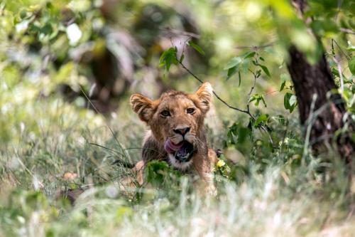 Kruger Dec22 154