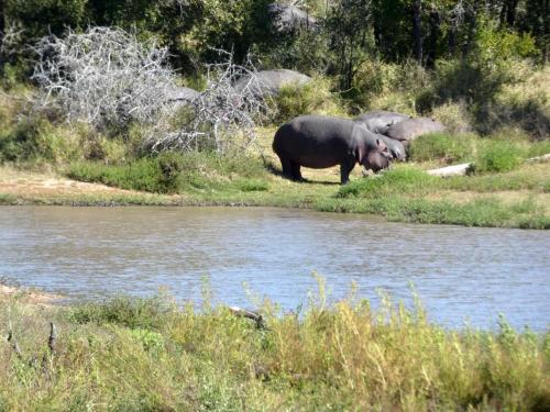 Krugerpark Juni 2022 119