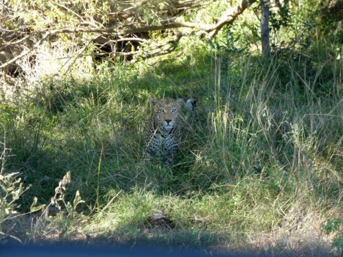 Krugerpark Juni 2022 162