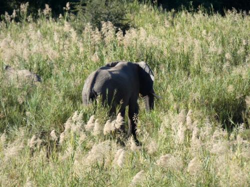 Krugerpark Juni 2022 173