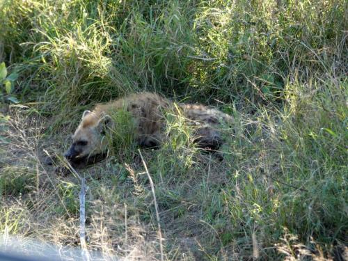 Krugerpark Juni 2022 178