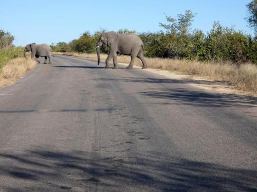 Krugerpark Juni 2022 180