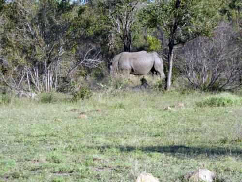 Krugerpark Juni 2022 196