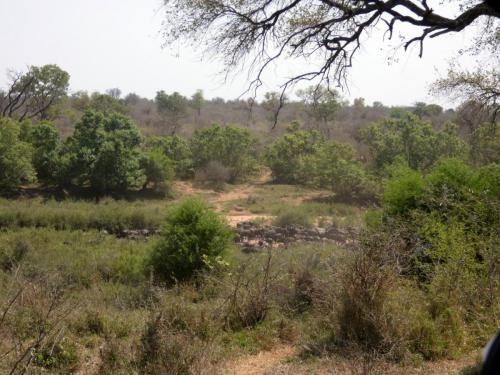 Kruger Sep22 172