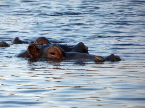 Kruger Sep22 249