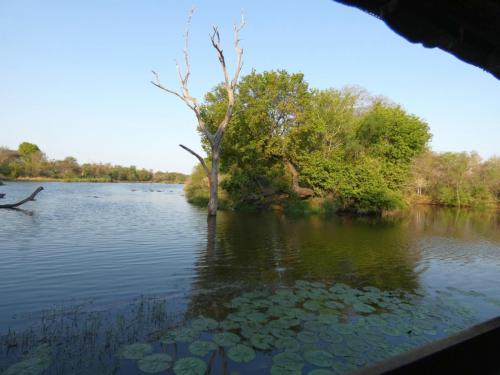 Kruger Sep22 258