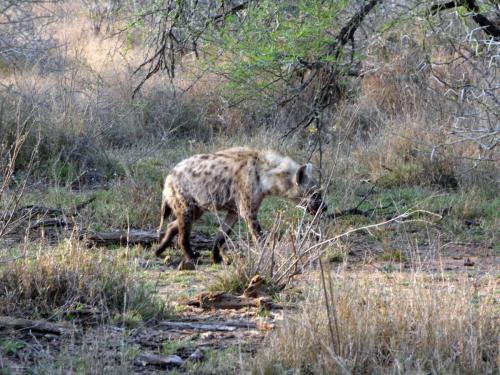 Kruger Sep22 272