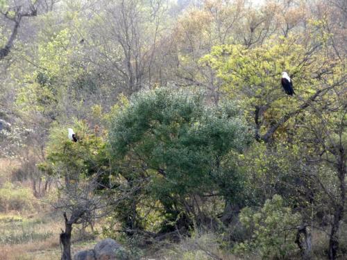 Kruger Sep22 282