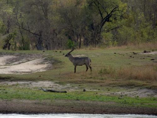 Kruger Sep22 283