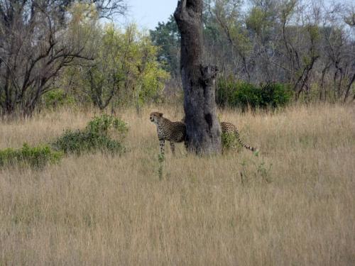 Kruger Sep22 303