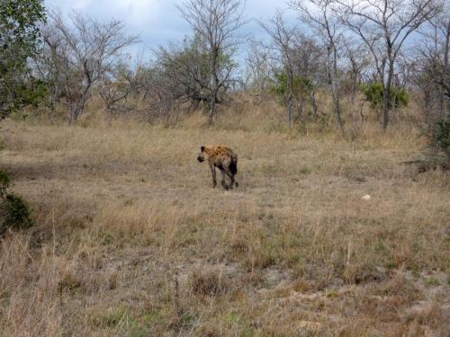 Kruger Sep22 304