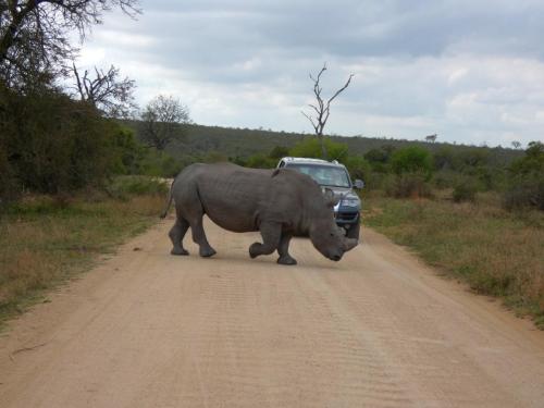 Kruger Sep22 322