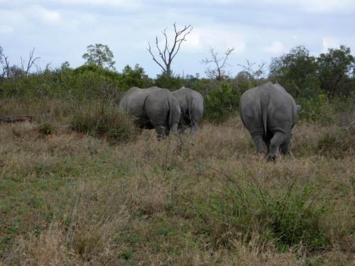 Kruger Sep22 328