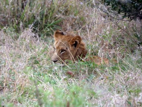 Kruger Sep22 348