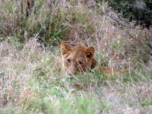 Kruger Sep22 349