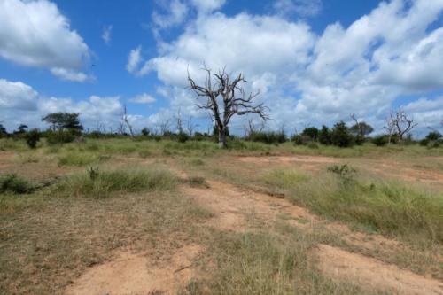 Eswatini april2021 120